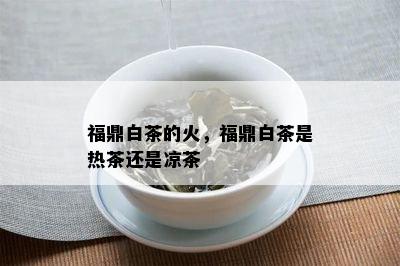 福鼎白茶的火，福鼎白茶是热茶还是凉茶