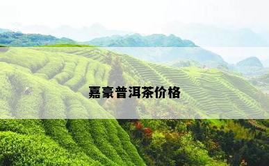 嘉豪普洱茶价格