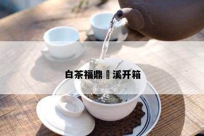 白茶福鼎磻溪开箱