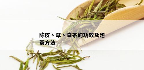 陈皮丶草丶白茶的功效及泡茶方法