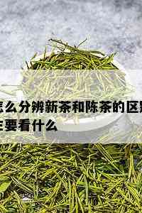 怎么分辨新茶和陈茶的区别主要看什么