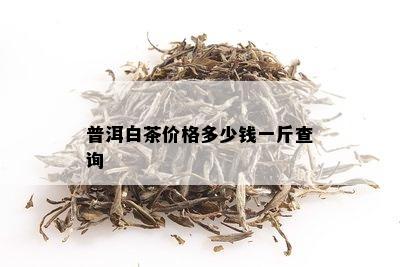 普洱白茶价格多少钱一斤查询