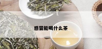 感冒能喝什么茶