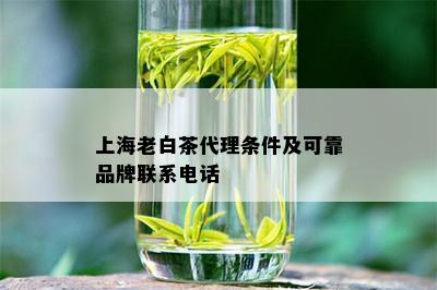 上海老白茶代理条件及可靠品牌联系电话