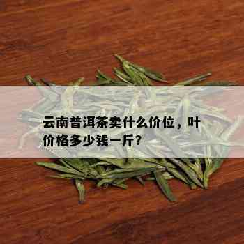 云南普洱茶卖什么价位，叶价格多少钱一斤？