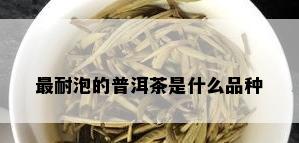 最耐泡的普洱茶是什么品种