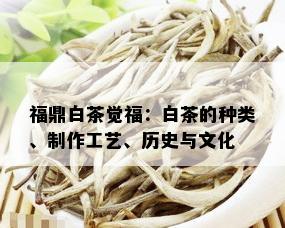 福鼎白茶觉福：白茶的种类、制作工艺、历史与文化