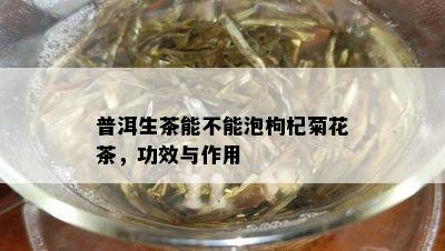 普洱生茶能不能泡枸杞菊花茶，功效与作用