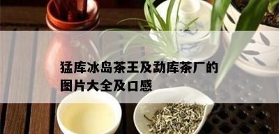 猛库冰岛茶王及勐库茶厂的图片大全及口感