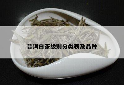 普洱白茶级别分类表及品种