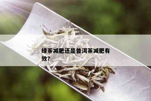 绿茶减肥还是普洱茶减肥有效?