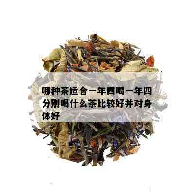 哪种茶适合一年四喝一年四分别喝什么茶比较好并对身体好