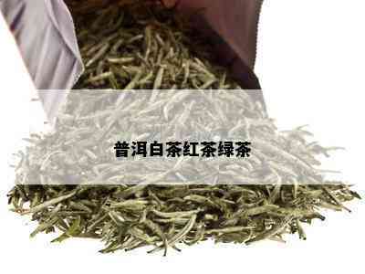 普洱白茶红茶绿茶