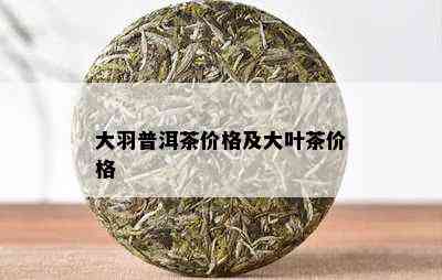 大羽普洱茶价格及大叶茶价格