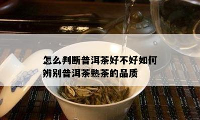 怎么判断普洱茶好不好如何辨别普洱茶熟茶的品质