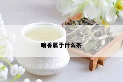 暗香属于什么茶