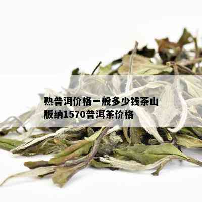 熟普洱价格一般多少钱茶山版纳1570普洱茶价格