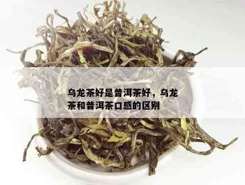 乌龙茶好是普洱茶好，乌龙茶和普洱茶口感的区别