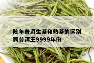 陈年普洱生茶和熟茶的区别聘普洱王9999年份