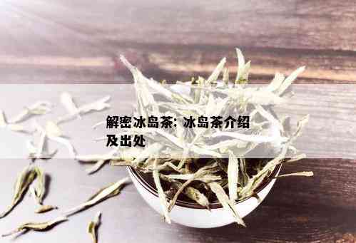 解密冰岛茶: 冰岛茶介绍及出处