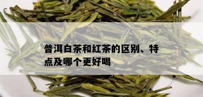 普洱白茶和红茶的区别、特点及哪个更好喝