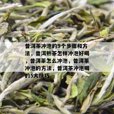 普洱茶冲泡的9个步骤和方法，普洱熟茶怎样冲泡好喝，普洱茶怎么冲泡，普洱茶冲泡的方法，普洱茶冲泡喝的5大技巧