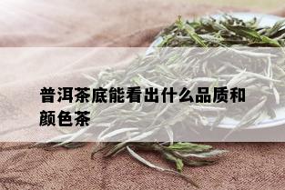 普洱茶底能看出什么品质和颜色茶