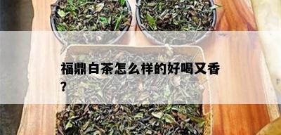 福鼎白茶怎么样的好喝又香？