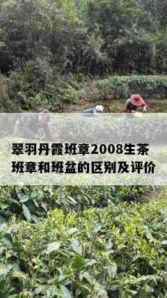 翠羽丹霞班章2008生茶班章和班盆的区别及评价