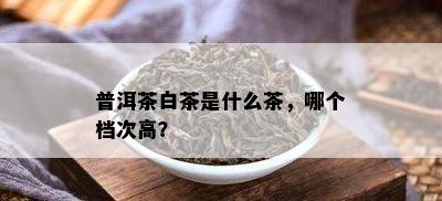 普洱茶白茶是什么茶，哪个档次高？