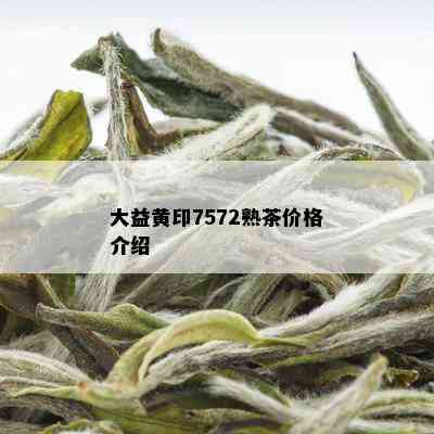 大益黄印7572熟茶价格介绍