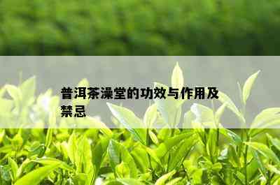 普洱茶澡堂的功效与作用及禁忌