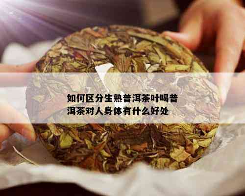 如何区分生熟普洱茶叶喝普洱茶对人身体有什么好处