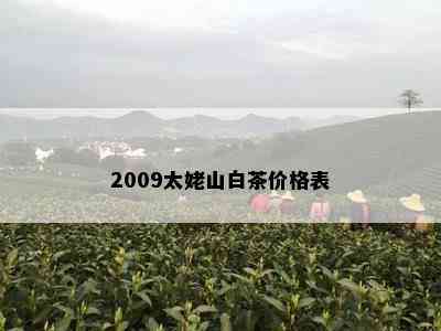 2009太姥山白茶价格表