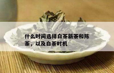 什么时间选择白茶新茶和陈茶，以及白茶时机