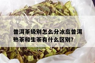 普洱茶级别怎么分冰岛普洱熟茶和生茶有什么区别？