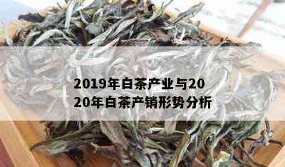 2019年白茶产业与2020年白茶产销形势分析