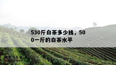 530斤白茶多少钱，500一斤的白茶水平