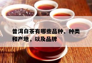 普洱白茶有哪些品种、种类和产地，以及品牌