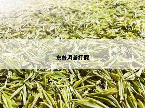 东普洱茶打假