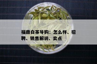 福鼎白茶导购：怎么样、招聘、销售解说、卖点