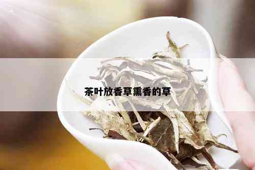 茶叶放香草熏香的草