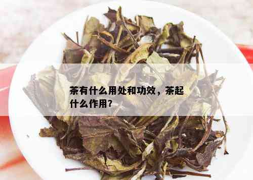 茶有什么用处和功效，茶起什么作用？