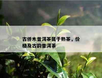 古侨木普洱茶属于熟茶，价格及古韵普洱茶