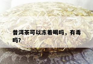 普洱茶可以冻着喝吗，有吗？