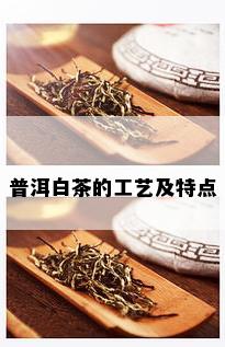 普洱白茶的工艺及特点