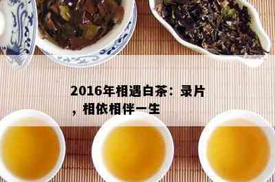 2016年相遇白茶：录片，相依相伴一生