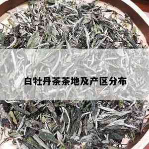 白牡丹茶茶地及产区分布