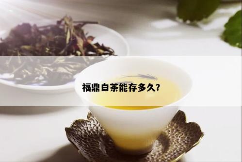 福鼎白茶能存多久？