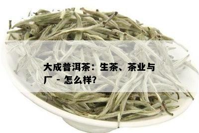 大成普洱茶：生茶、茶业与厂 - 怎么样？